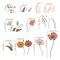 wondever Boho Flower Wall Stickers Wildflower Floral Grass Peel and Stick Wall Art Decals for Living Room Bedroom TV Wall